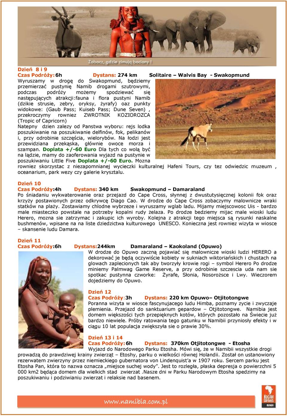 KOZIOROZCA (Tropic of Capricorn) Natepny dzien zalezy od Panstwa wyboru: rejs lodka poszukiwanie na poszukiwanie delfinów, fok, pelikanów i, przy odrobinie szczęścia, wielorybów.