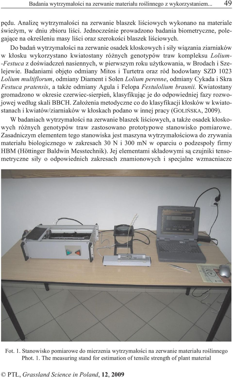 Do badañ wytrzyma³oœci na zerwanie osadek k³oskowych i si³y wi¹zania ziarniaków w k³osku wykorzystano kwiatostany ró nych genotypów traw kompleksu Lolium- -Festuca z doœwiadczeñ nasiennych, w