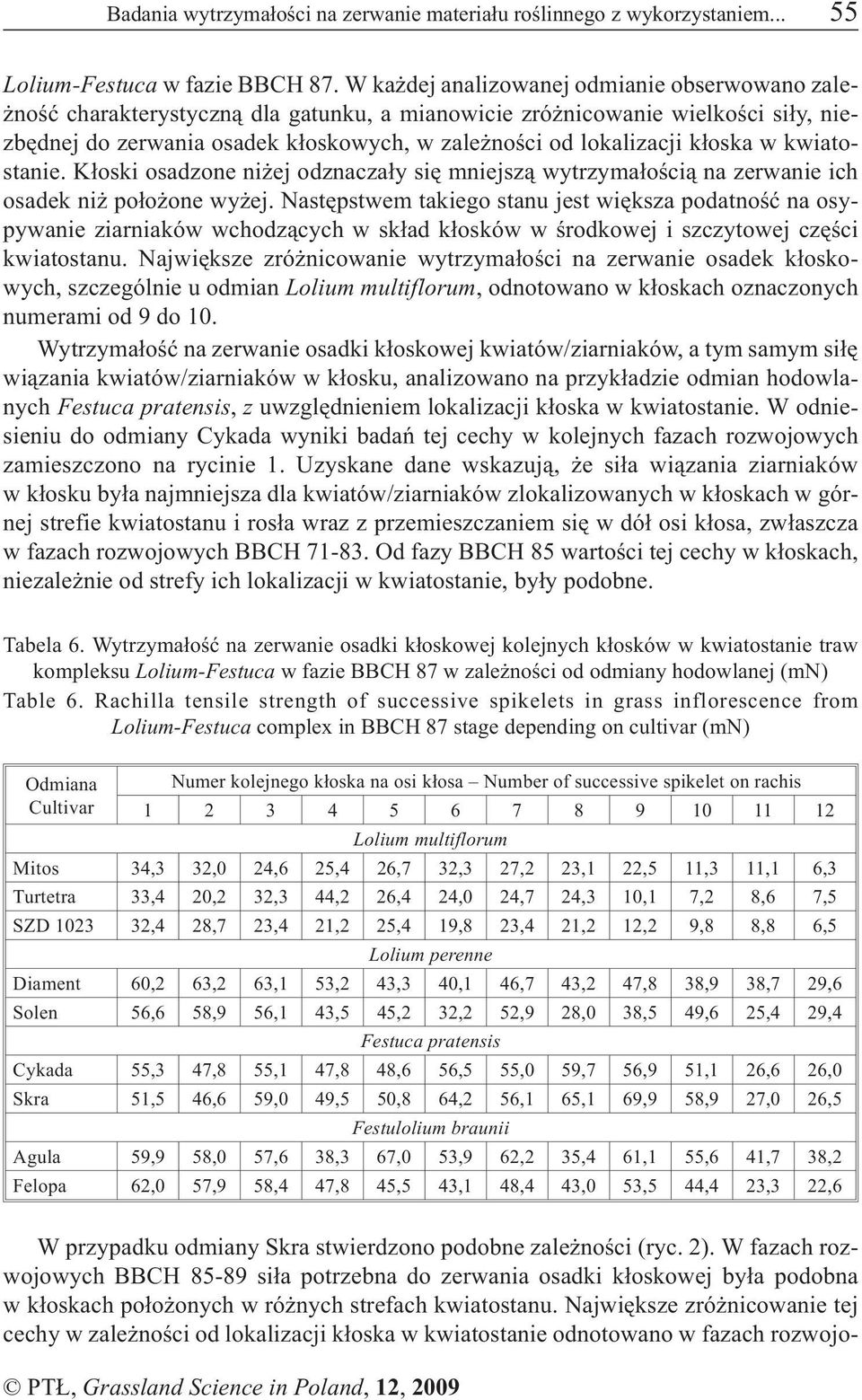 k³oska w kwiatostanie. K³oski osadzone ni ej odznacza³y siê mniejsz¹ wytrzyma³oœci¹ na zerwanie ich osadek ni po³o one wy ej.