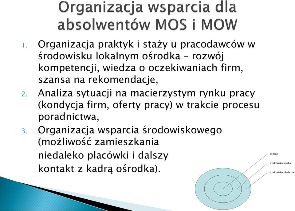 Analiza sytuacji na macierzystym rynku pracy (kondycja firm, oferty pracy) w trakcie procesu