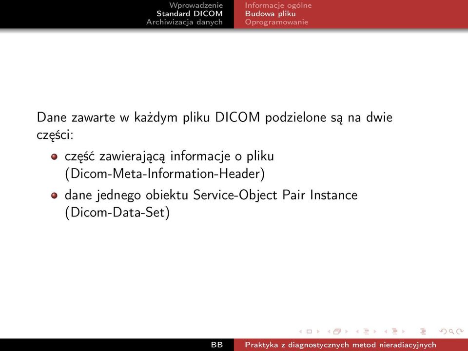 pliku (Dicom-Meta-Information-Header) dane