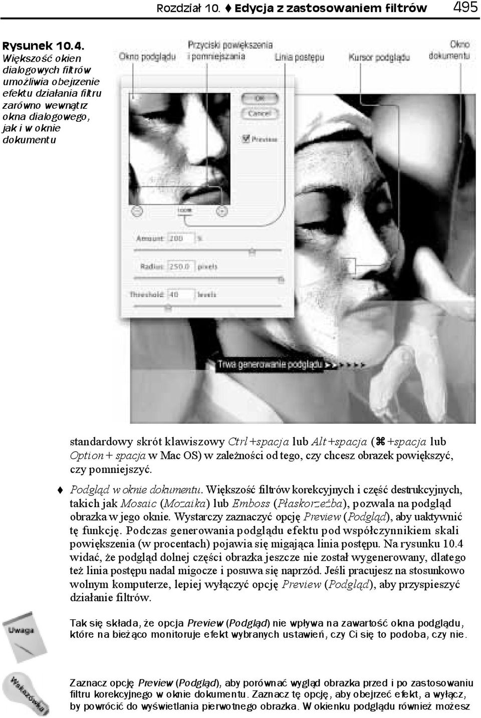 Większość filtrów korekcyjnych i część destrukcyjnych, takich jak Mosaic (Mozaika) lub Emboss (Płaskorzeźba), pozwala na podgląd obrazka w jego oknie.
