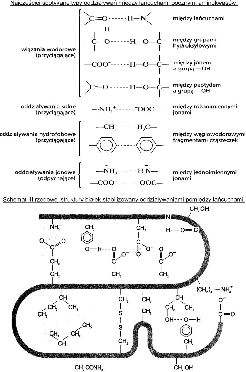 Schemat III rzędowej struktury białek