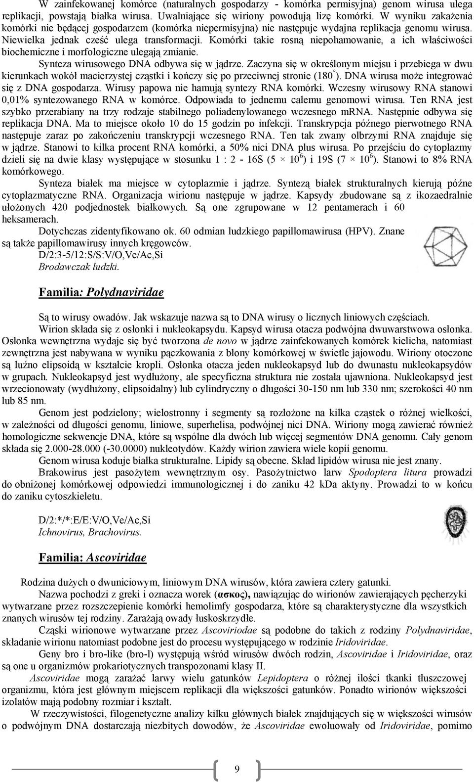 Komórki takie rosną niepohamowanie, a ich właściwości biochemiczne i morfologiczne ulegają zmianie. Synteza wirusowego DNA odbywa się w jądrze.