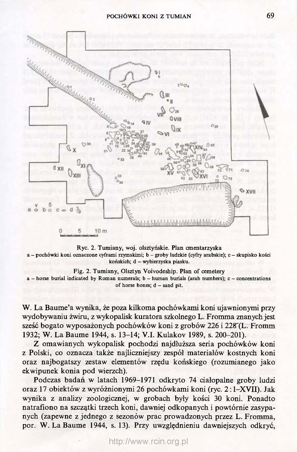 Plan of cemetery a - horse burial indicated by Roman numerals; b - human burials (arab numbers); c - concentrations of horse bones; d - sand pit. W.