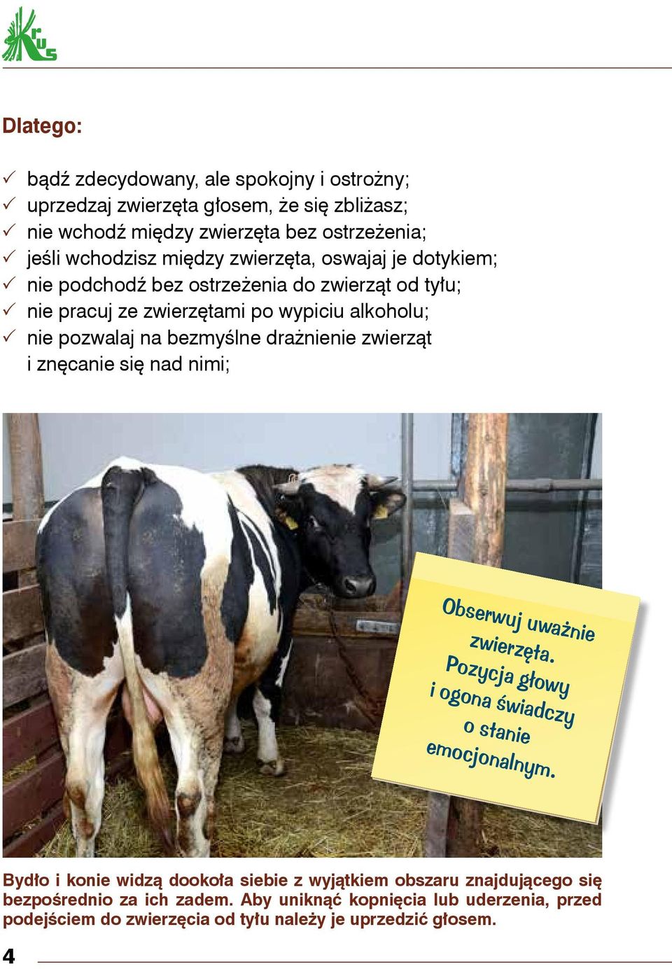 drażnienie zwierząt i znęcanie się nad nimi; Obserwuj uważnie zwierzęta. Pozycja głowy i ogona świadczy o stanie emocjonalnym.