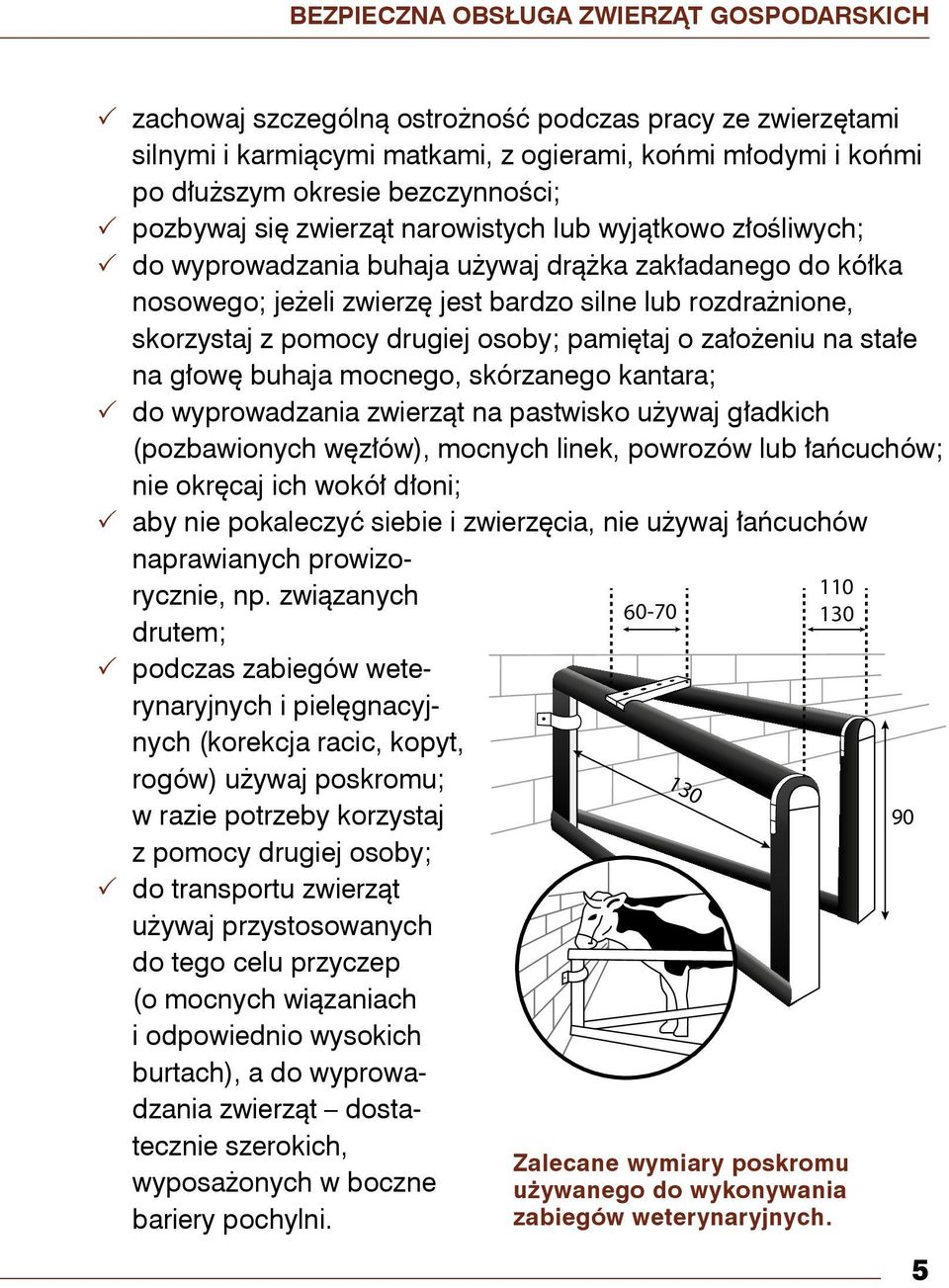 drugiej osoby; pamiętaj o założeniu na stałe na głowę buhaja mocnego, skórzanego kantara; do wyprowadzania zwierząt na pastwisko używaj gładkich (pozbawionych węzłów), mocnych linek, powrozów lub