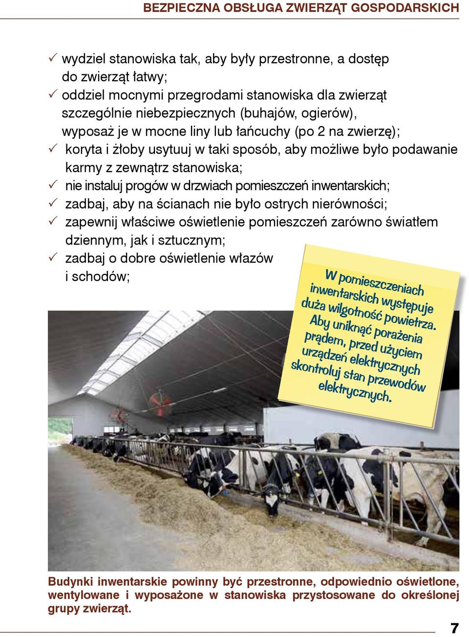 drzwiach pomieszczeń inwentarskich; zadbaj, aby na ścianach nie było ostrych nierówności; zapewnij właściwe oświetlenie pomieszczeń zarówno światłem dziennym, jak i sztucznym; zadbaj o dobre