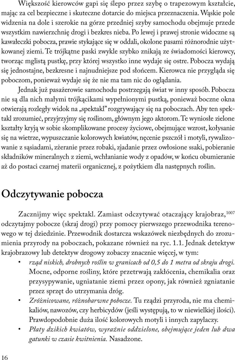 Po lewej i prawej stronie widoczne są kawałeczki pobocza, prawie stykające się w oddali, okolone pasami różnorodnie użytkowanej ziemi.