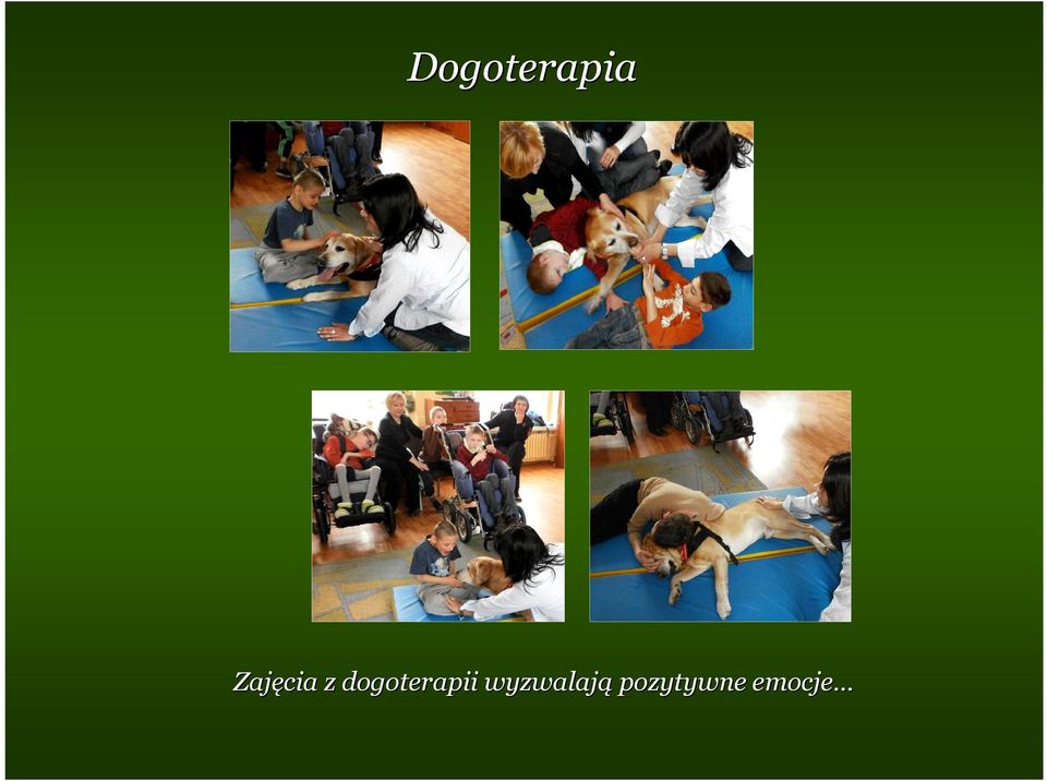 dogoterapii