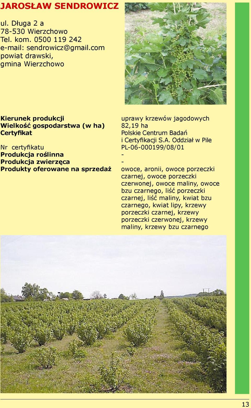 Oddział w Pile Nr certyfikatu PL-06-000199/08/01 - - Produkty oferowane na sprzedaż owoce, aronii, owoce porzeczki czarnej, owoce porzeczki