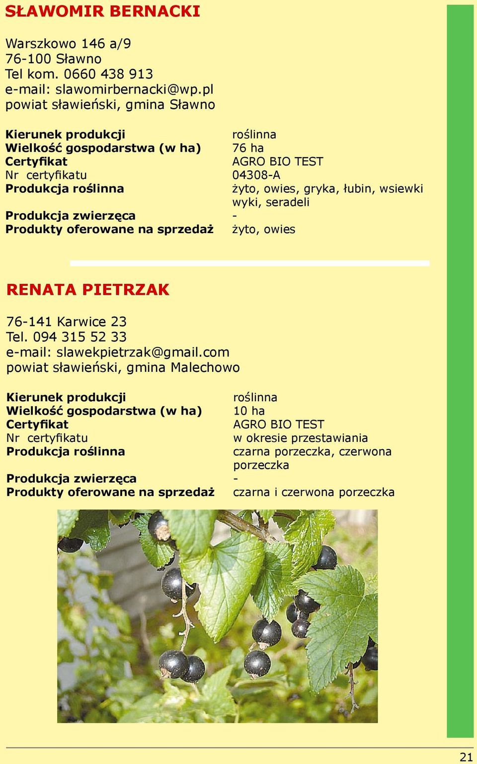 owies żyto, owies, gryka, łubin, wsiewki wyki, seradeli RENATA PIETRZAK 76-141 Karwice 23 Tel. 094 315 52 33 e-mail: slawekpietrzak@gmail.