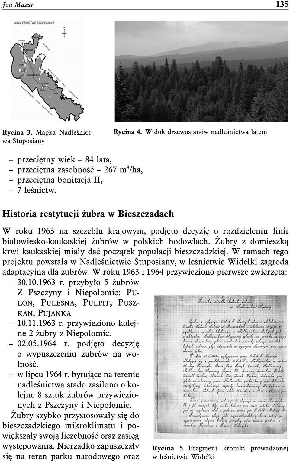 Żubry z domieszką krwi kaukaskiej miały dać początek populacji bieszczadzkiej. W ramach tego projektu powstała w Nadleśnictwie Stuposiany, w leśnictwie Widełki zagroda adaptacyjna dla żubrów.