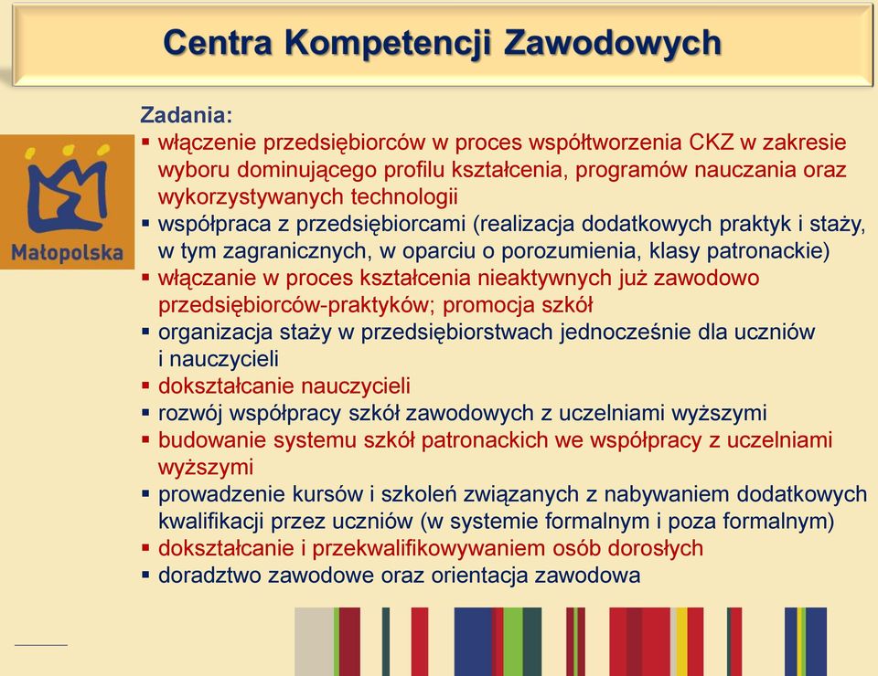 szkół organizacja staży w przedsiębiorstwach jednocześnie dla uczniów i nauczycieli dokształcanie nauczycieli rozwój współpracy szkół zawodowych z uczelniami wyższymi budowanie systemu szkół