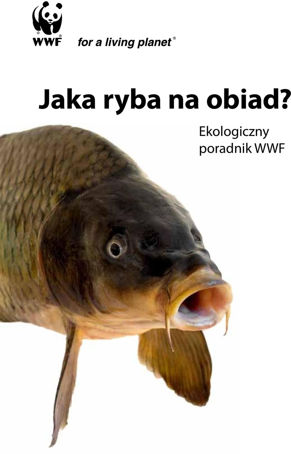 Jaka ryba na obiad?