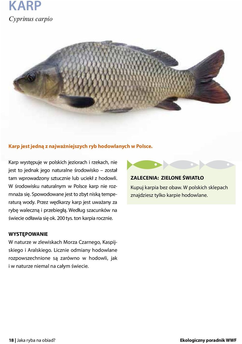 W środowisku naturalnym w Polsce karp nie rozmnaża się. Spowodowane jest to zbyt niską temperaturą wody. Przez wędkarzy karp jest uważany za rybę waleczną i przebiegłą.