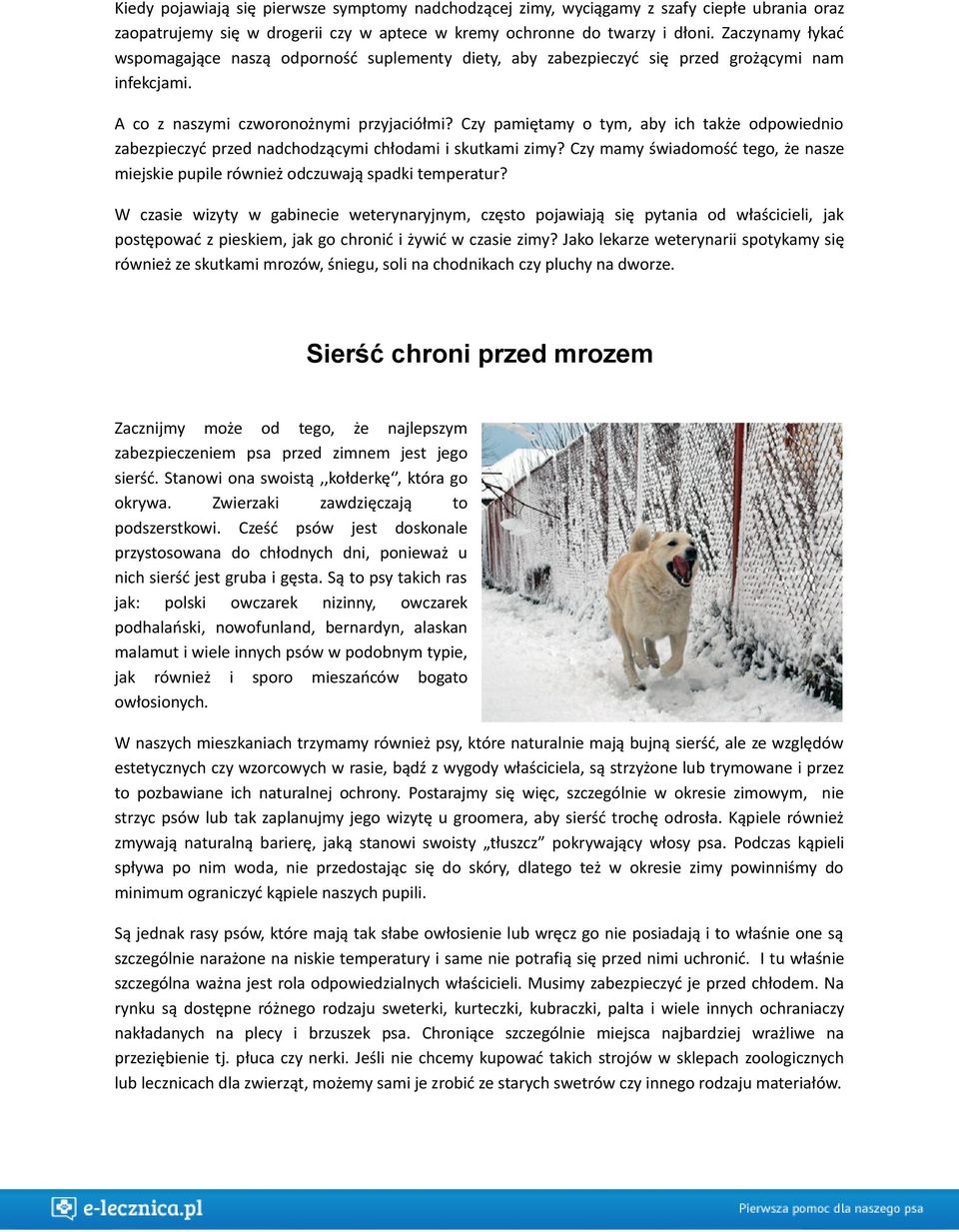 Czy pamiętamy o tym, aby ich także odpowiednio zabezpieczyć przed nadchodzącymi chłodami i skutkami zimy? Czy mamy świadomość tego, że nasze miejskie pupile również odczuwają spadki temperatur?