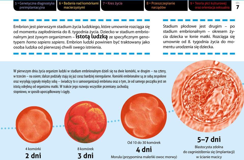 Dziecko w stadium embrionalnym jest żywym organizmem istotą ludzką ze specyficznym genotypem homo sapiens sapiens.