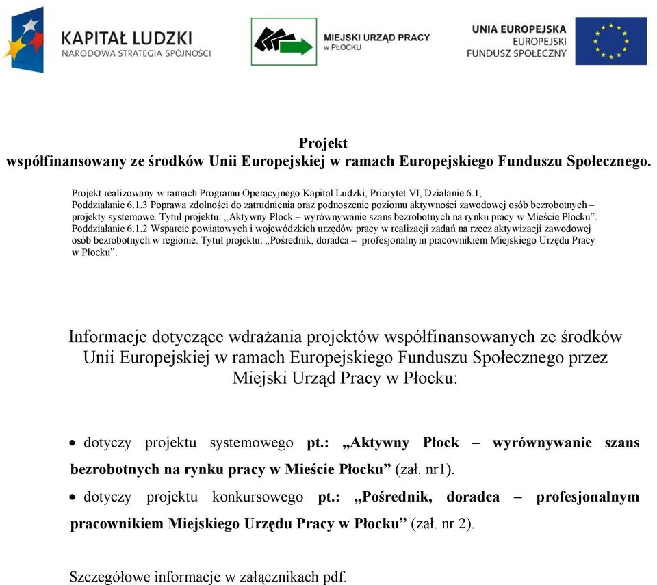 Tytuł projektu: Aktywny Płock wyrównywanie szans bezrobotnych na rynku pracy w Mieście Płocku. Poddziałanie 6.1.