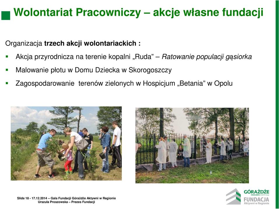 gąsiorka Malowanie płotu w Domu Dziecka w Skorogoszczy Zagospodarowanie terenów