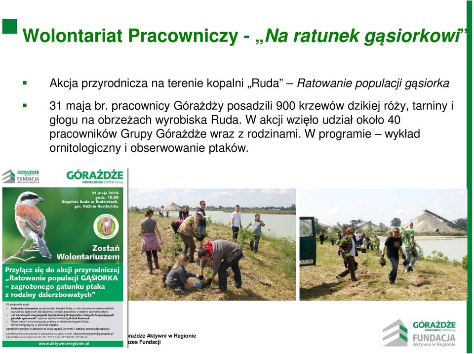 pracownicy Górażdży posadzili 900 krzewów dzikiej róży, tarniny i głogu na obrzeżach wyrobiska Ruda.