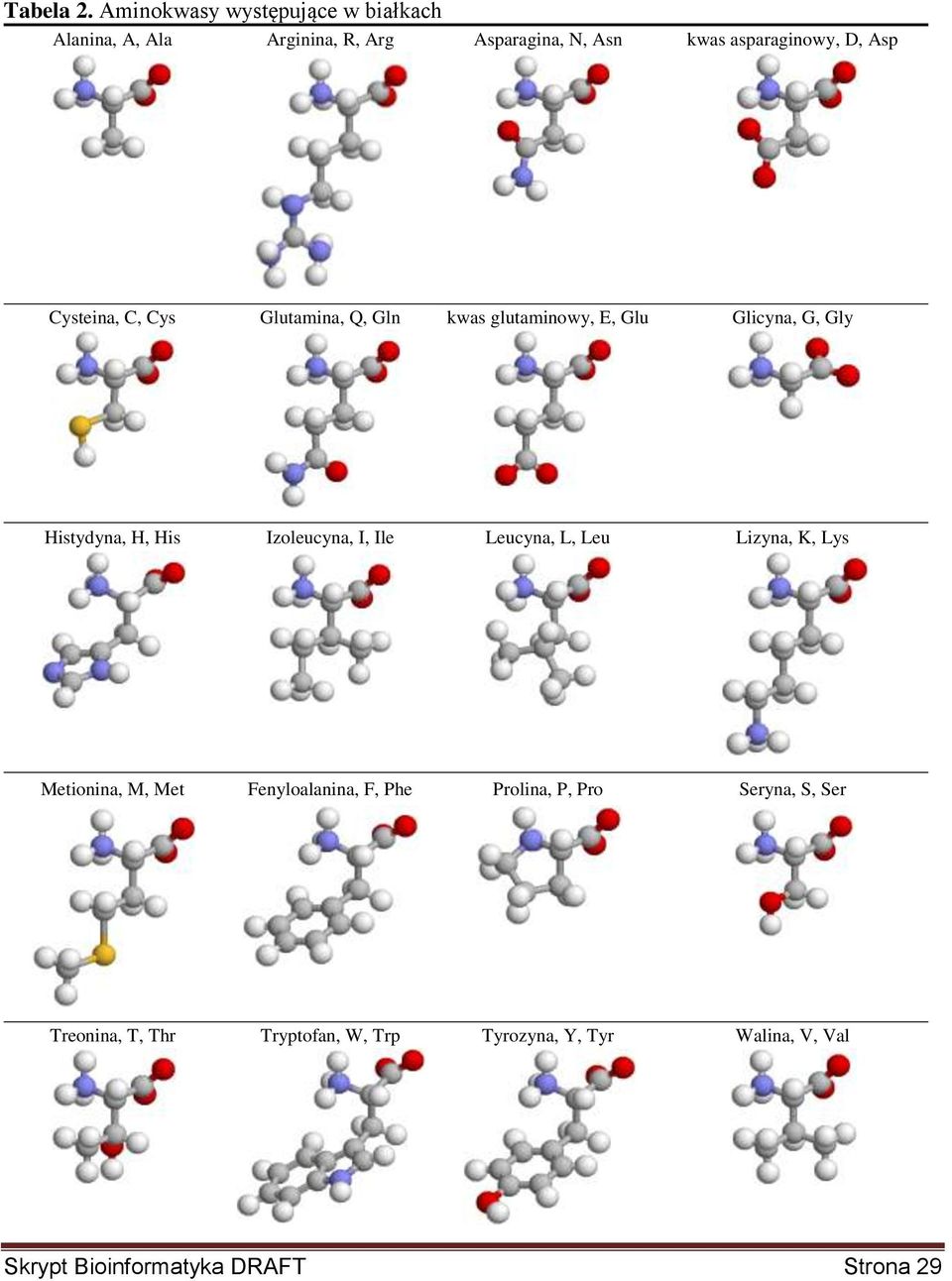 Asp Cysteina, C, Cys Glutamina, Q, Gln kwas glutaminowy, E, Glu Glicyna, G, Gly Histydyna, H, His Izoleucyna,