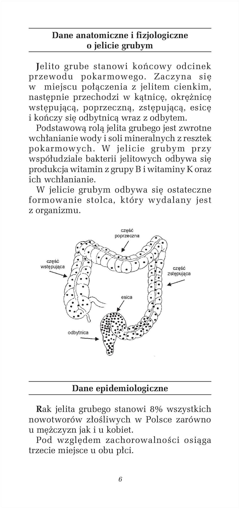 Podstawową rolą jelita grubego jest zwrotne wchłanianie wody i soli mineralnych z resztek pokarmowych.