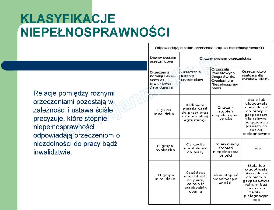 ściśle precyzuje, które stopnie niepełnosprawności