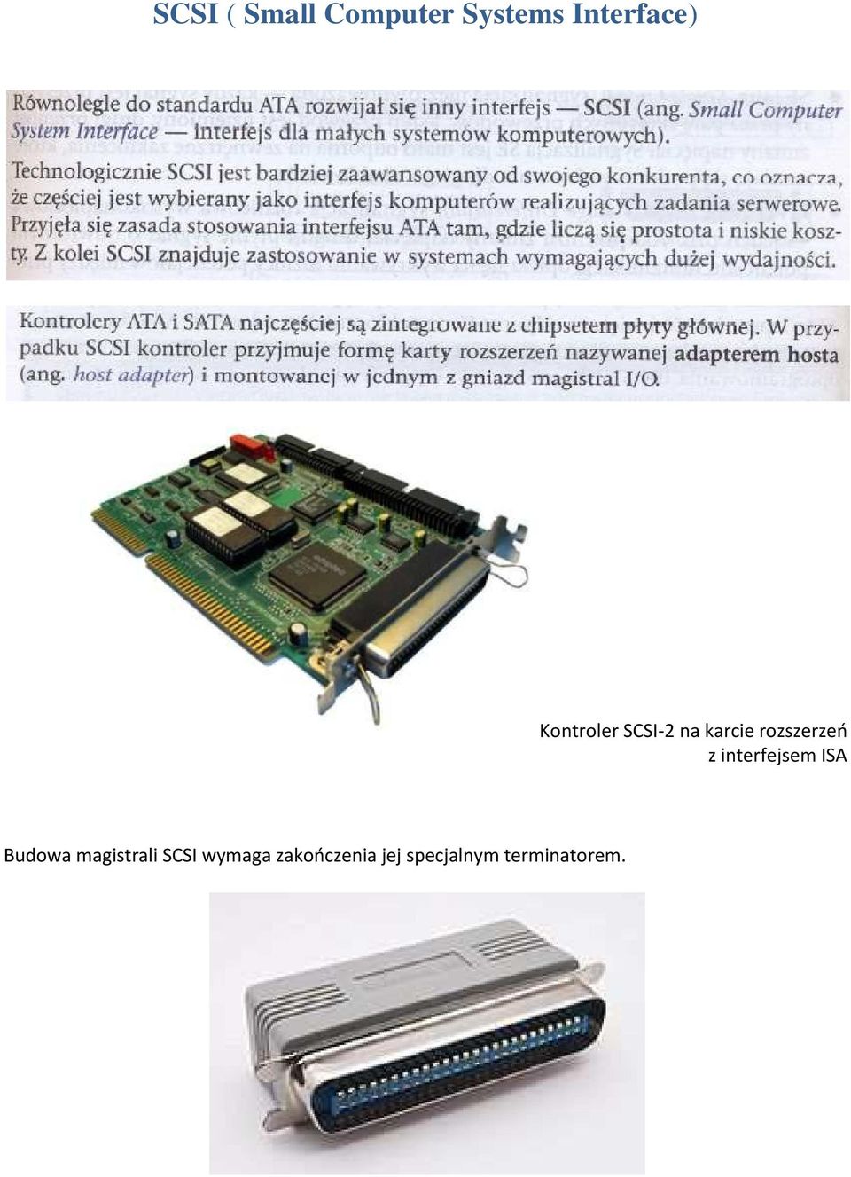 interfejsem ISA Budowa magistrali SCSI