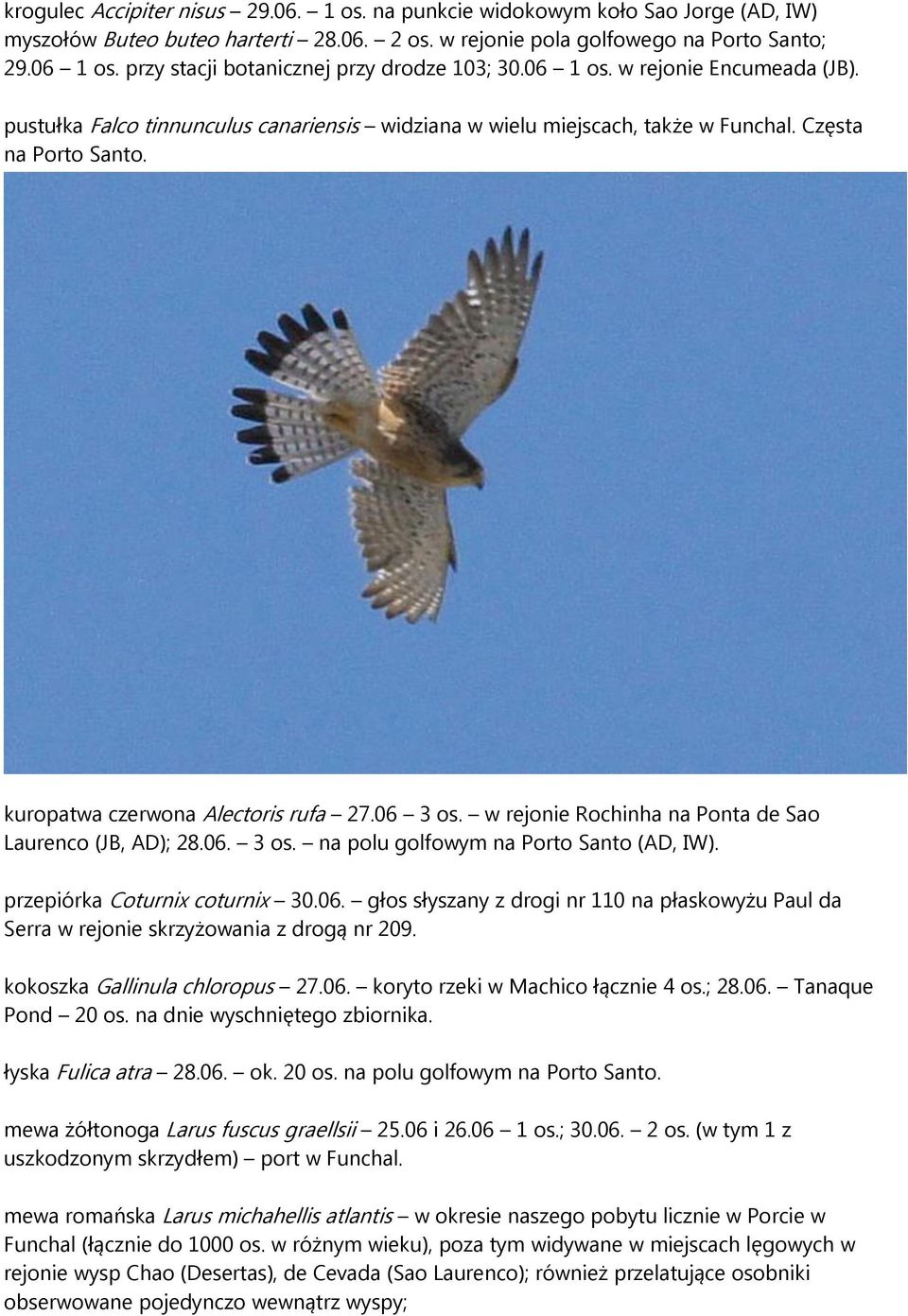 kuropatwa czerwona Alectoris rufa 27.06 3 os. w rejonie Rochinha na Ponta de Sao Laurenco (JB, AD); 28.06. 3 os. na polu golfowym na Porto Santo (AD, IW). przepiórka Coturnix coturnix 30.06. głos słyszany z drogi nr 110 na płaskowyżu Paul da Serra w rejonie skrzyżowania z drogą nr 209.
