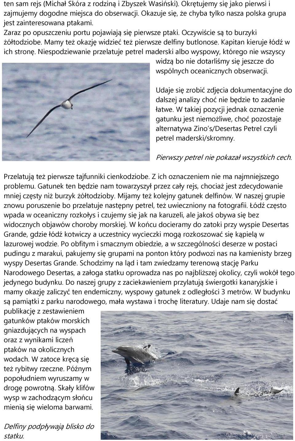 Mamy też okazję widzieć też pierwsze delfiny butlonose. Kapitan kieruje łódź w ich stronę.