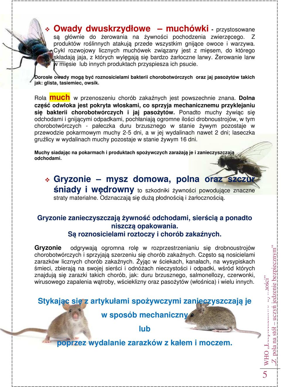 Dorosłe owady mogą być roznosicielami bakterii chorobotwórczych oraz jaj pasożytów takich jak: glista, tasiemiec, owsik. Rola much w przenoszeniu chorób zakaźnych jest powszechnie znana.