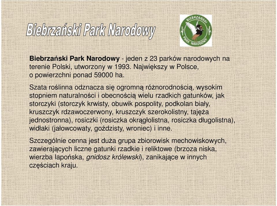 podkolan biały, kruszczyk rdzawoczerwony, kruszczyk szerokolistny, tajęża jednostronna), rosiczki (rosiczka okrągłolistna, rosiczka długolistna), widłaki (jałowcowaty,