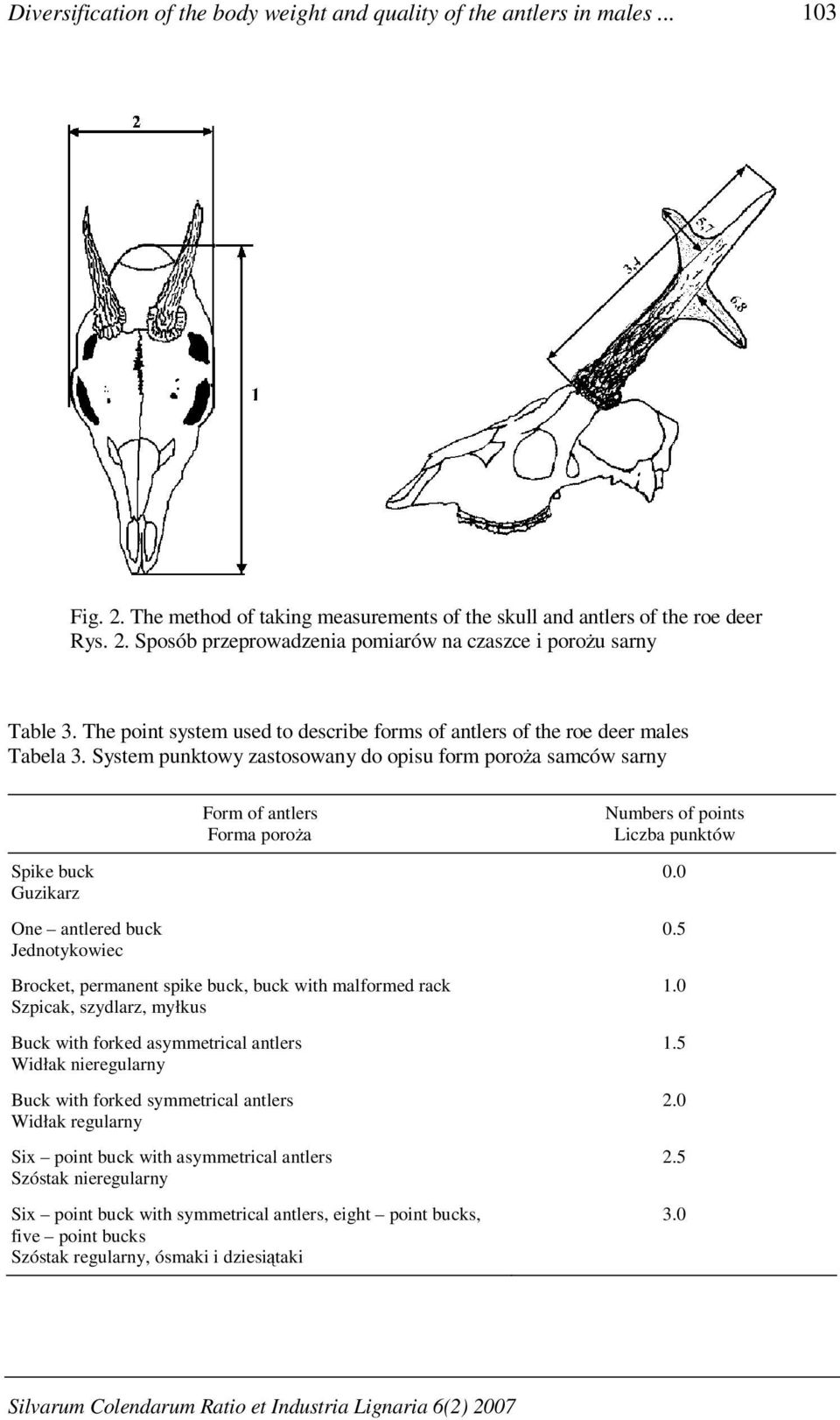 System punktowy zastosowany do opisu form poroża samców sarny Form of antlers Forma poroża Numbers of points Liczba punktów Spike buck Guzikarz One antlered buck Jednotykowiec Brocket, permanent