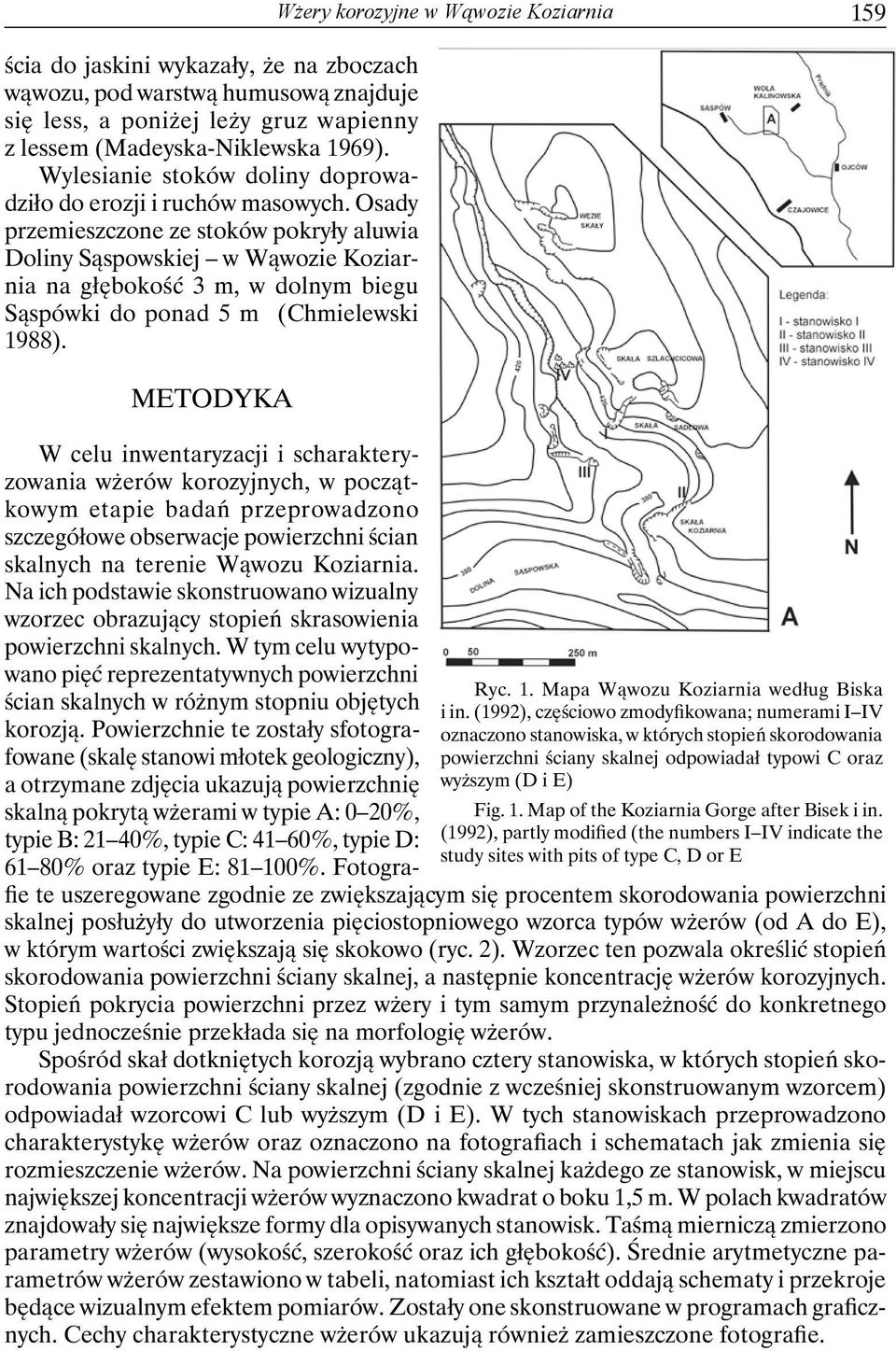 Osady przemieszczone ze stoków pokryły aluwia Doliny Sąspowskiej w Wąwozie Koziarnia na głębokość 3 m, w dolnym biegu Sąspówki do ponad 5 m (Chmielewski 1988).