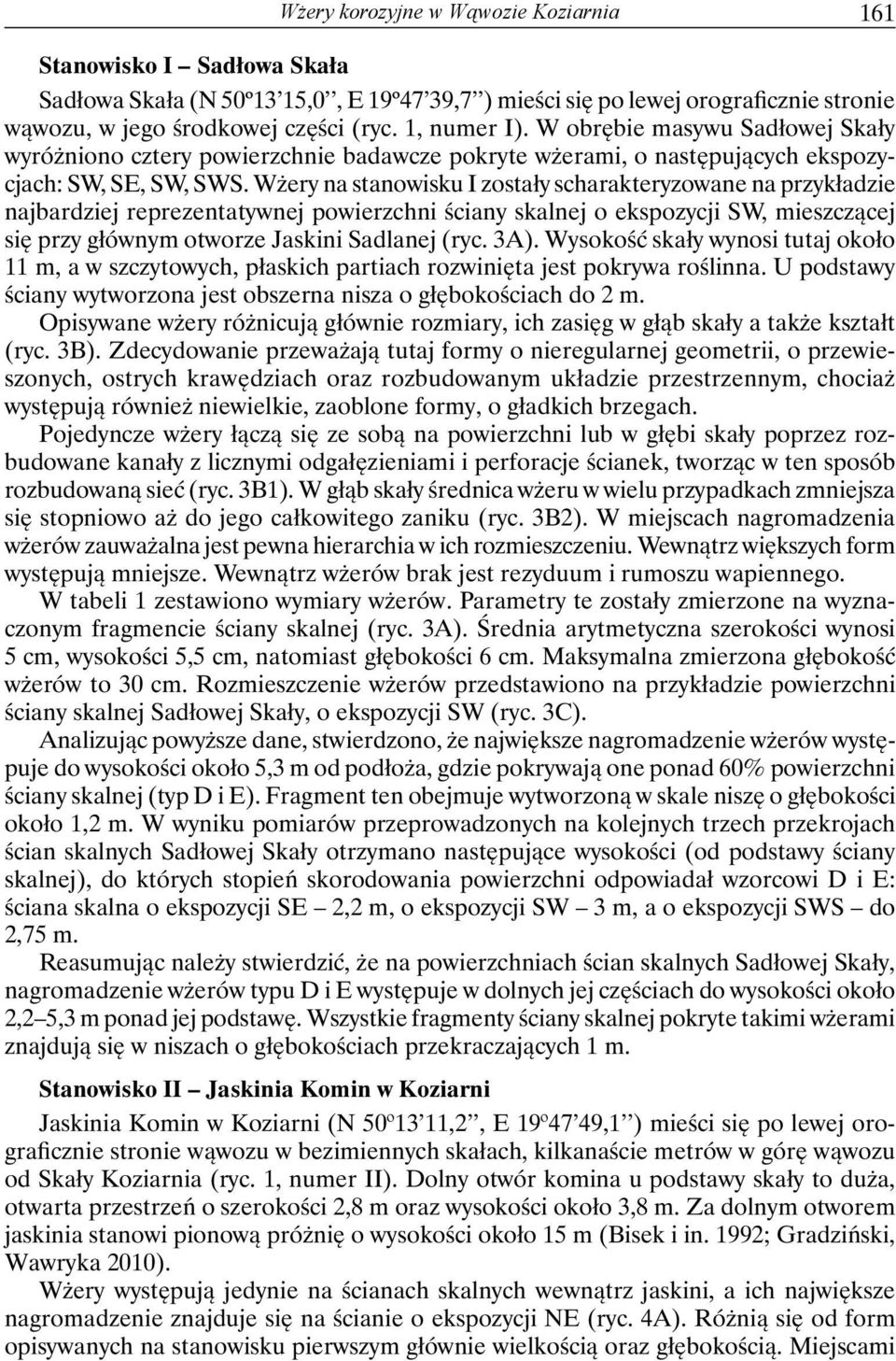 Wżery na stanowisku I zostały scharakteryzowane na przykładzie najbardziej reprezentatywnej powierzchni ściany skalnej o ekspozycji SW, mieszczącej się przy głównym otworze Jaskini Sadlanej (ryc. 3A).