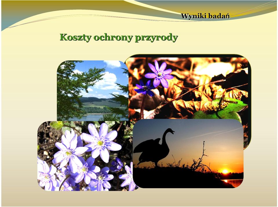 Koszty