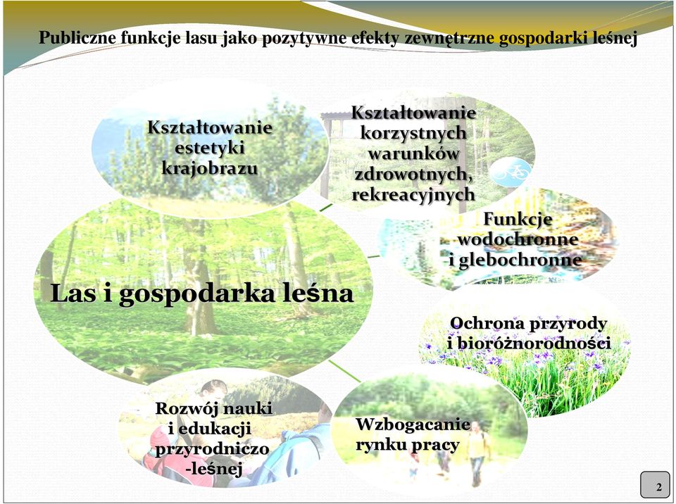 leśna Ochrona przyrody i bioróŝnorodności Rozwój