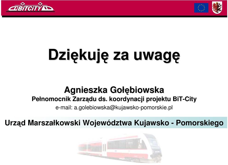 koordynacji projektu BiT-City e-mail: a.