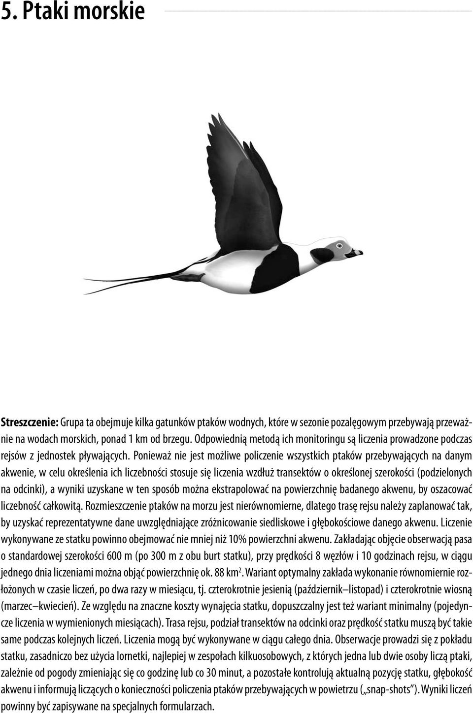 Ponieważ nie jest możliwe policzenie wszystkich ptaków przebywających na danym akwenie, w celu określenia ich liczebności stosuje się liczenia wzdłuż transektów o określonej szerokości (podzielonych