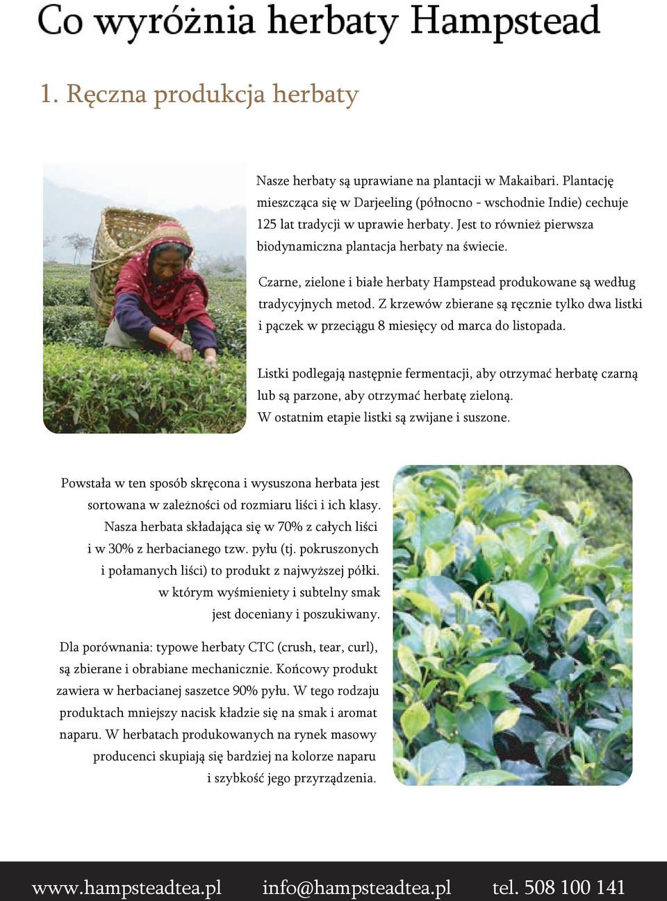 pl info@hampsteadtea.com 020 tel.