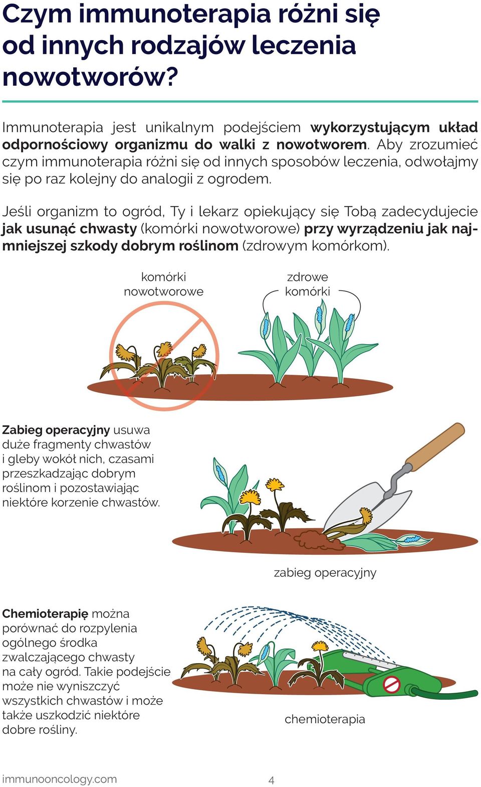 Jeśli organizm to ogród, Ty i lekarz opiekujący się Tobą zadecydujecie jak usunąć chwasty ( nowotworowe) przy wyrządzeniu jak najmniejszej szkody dobrym roślinom (zdrowym komórkom).