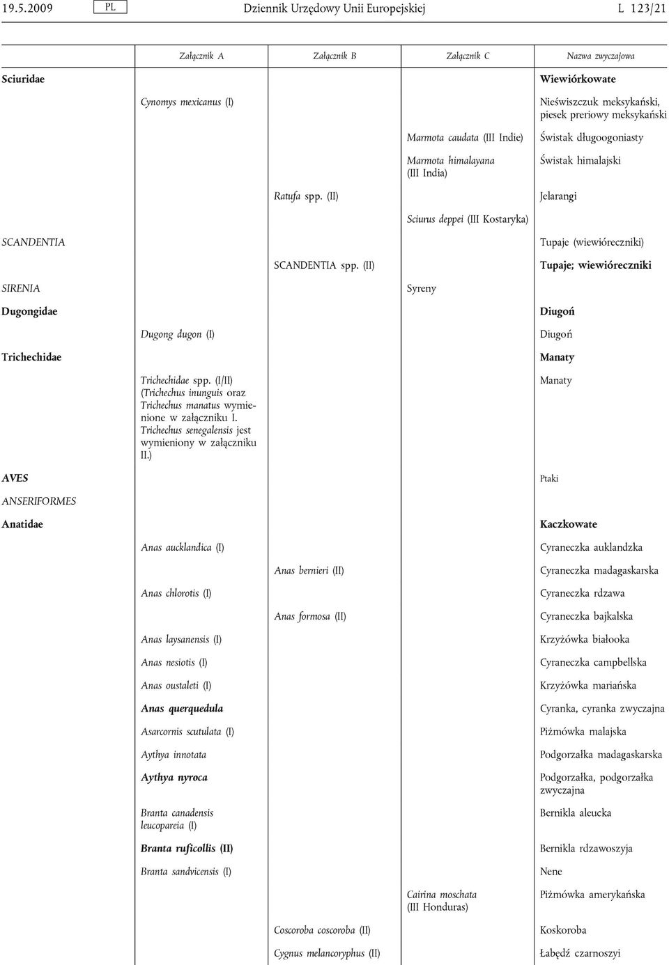 (II) Tupaje; wiewióreczniki SIRENIA Syreny Dugongidae Diugoń Dugong dugon (I) Diugoń Trichechidae Manaty Trichechidae spp.