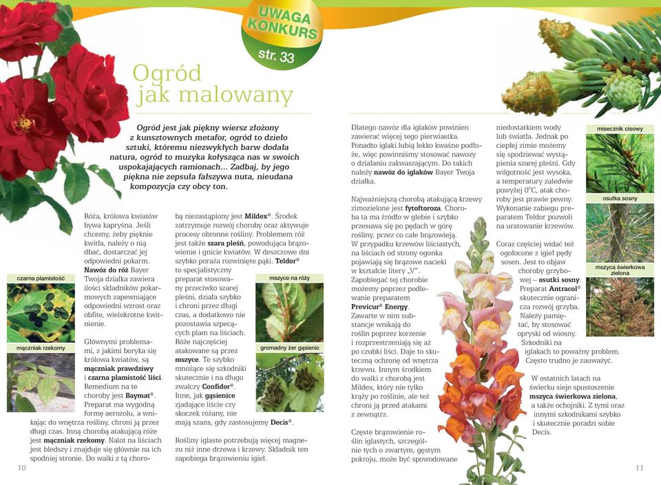 Ogród jest jak piękny wiersz złożony z kunsztownych metafor, ogród to dzieło sztuki, któremu niezwykłych barw dodała natura, ogród to muzyka kołysząca nas w swoich uspokajających ramionach.