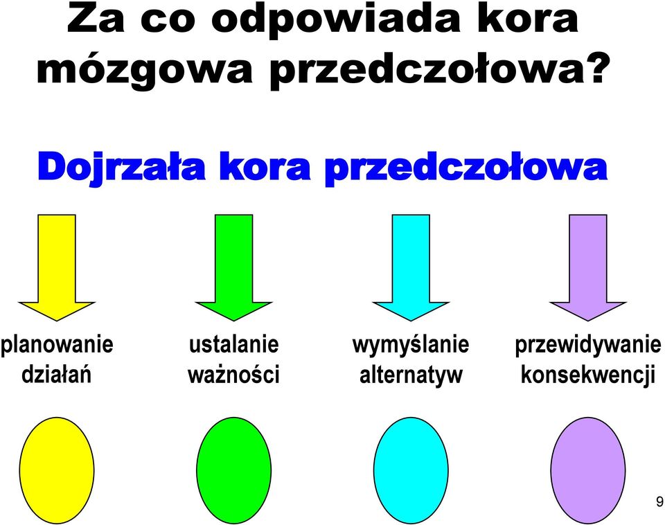Dojrzała kora przedczołowa planowanie