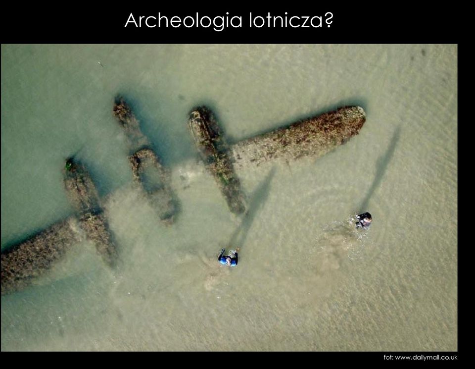 fot: www.