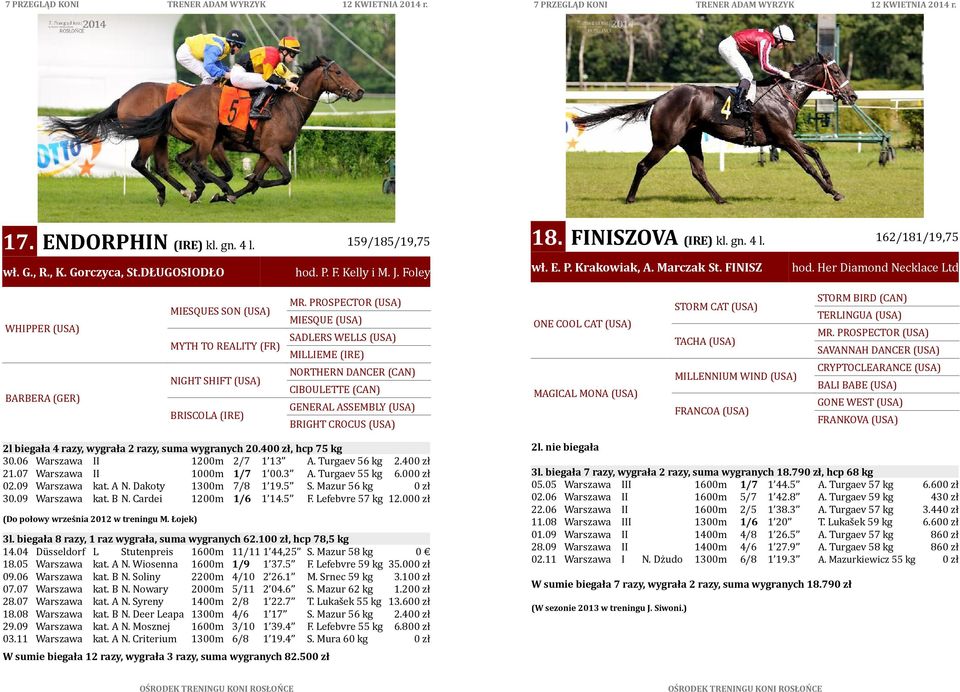 PROSPECTOR (USA) MIESQUE (USA) SADLERS WELLS (USA) MILLIEME (IRE) NORTHERN DANCER (CAN) CIBOULETTE (CAN) GENERAL ASSEMBLY (USA) BRIGHT CROCUS (USA) 2l biegała 4 razy, wygrała 2 razy, suma wygranych