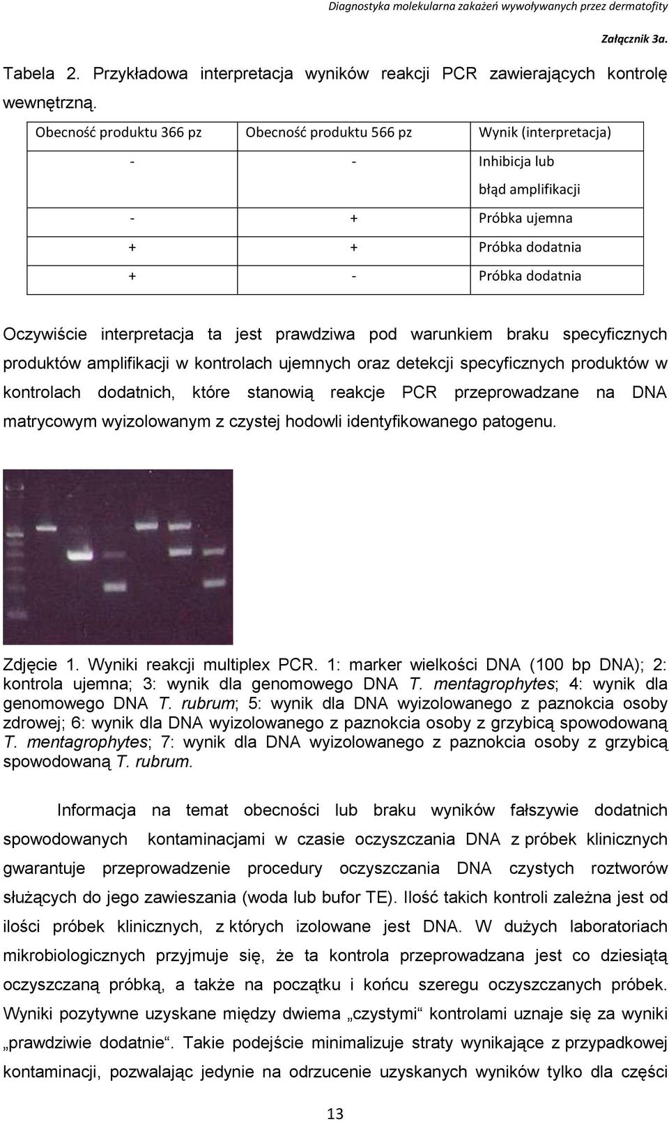 prawdziwa pod warunkiem braku specyficznych produktów amplifikacji w kontrolach ujemnych oraz detekcji specyficznych produktów w kontrolach dodatnich, które stanowią reakcje PCR przeprowadzane na DNA