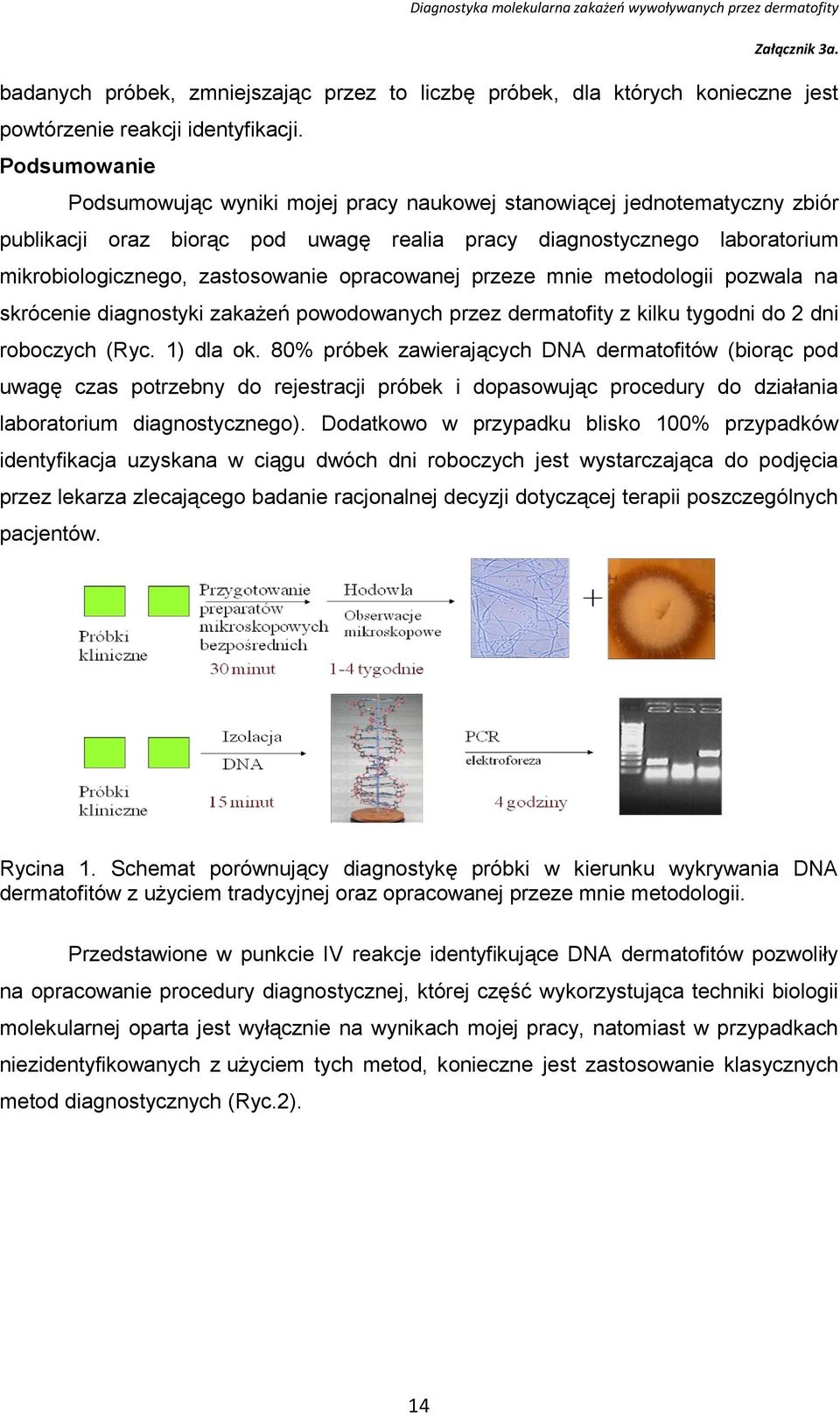 opracowanej przeze mnie metodologii pozwala na skrócenie diagnostyki zakażeń powodowanych przez dermatofity z kilku tygodni do 2 dni roboczych (Ryc. 1) dla ok.