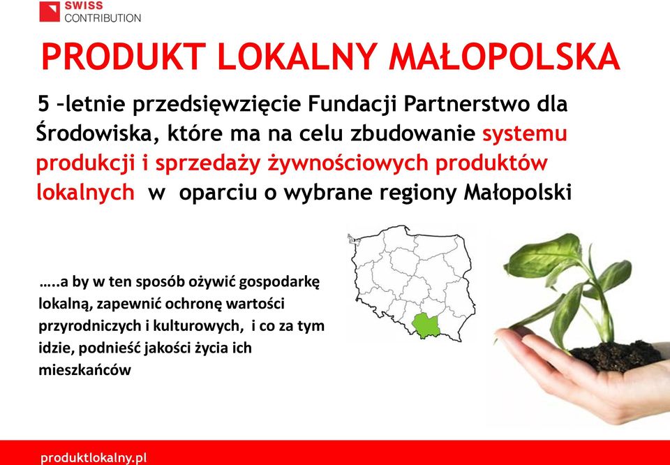oparciu o wybrane regiony Małopolski.